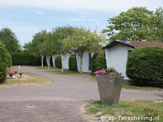 Klik hier voor meer informatie over Chalet Budget Bungalow 4