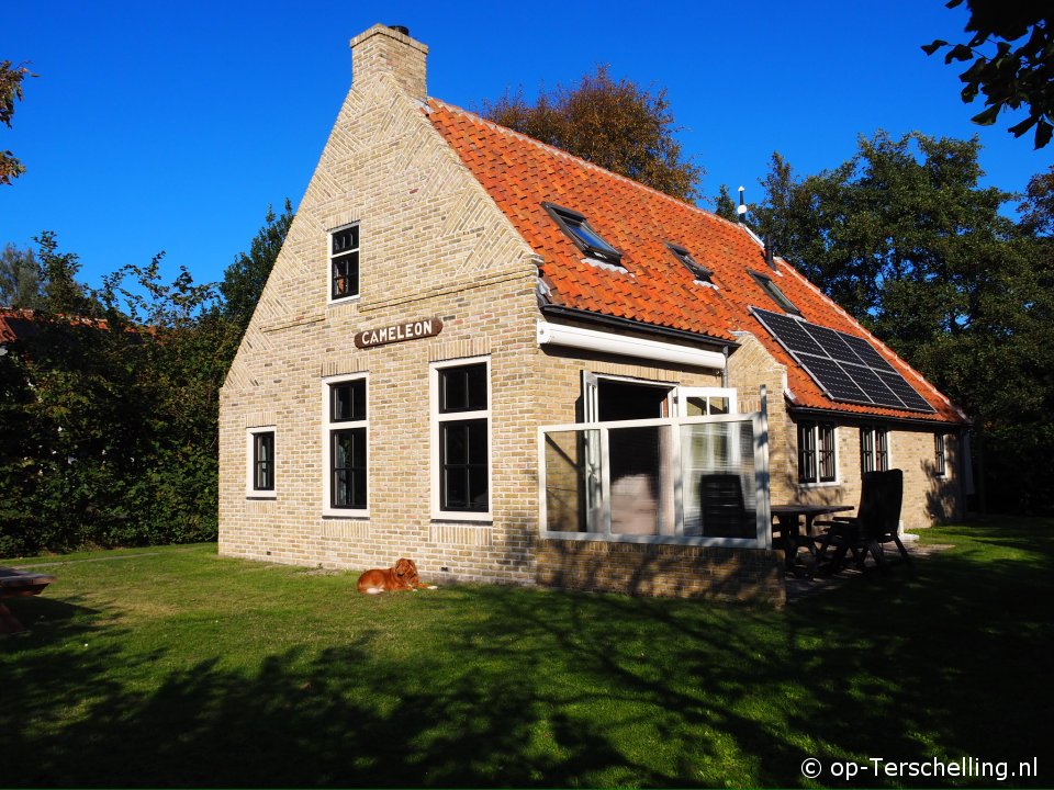 Klik hier voor meer informatie over Vakantiehuis Cameleon